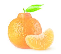 MANDARINE AU KG USA
