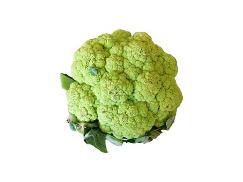 CHOUX FLEUR VERT A LA PIECE USA