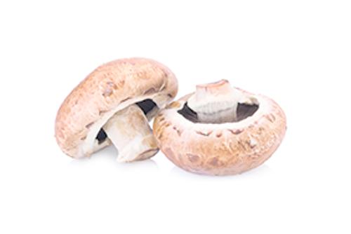 CHAMPIGNON BABY BELLA  BQ 227G