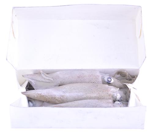 CALAMAR 450G