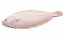 SOLE 325/400G CARTON DE 10KG NZ