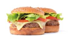 HAMBURGER BUN SANS GLUTEN 100GR x 20
