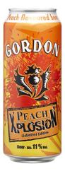 BIERE XPLOSION PEACH 11% 50CL