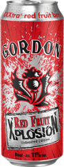 BIERE XPLOSION RED FRUIT 11% 50CL